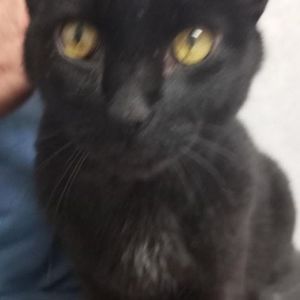 Meet your Posher, Mike